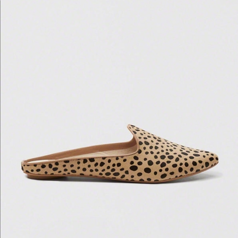 ISO dolce vita grant mule flats